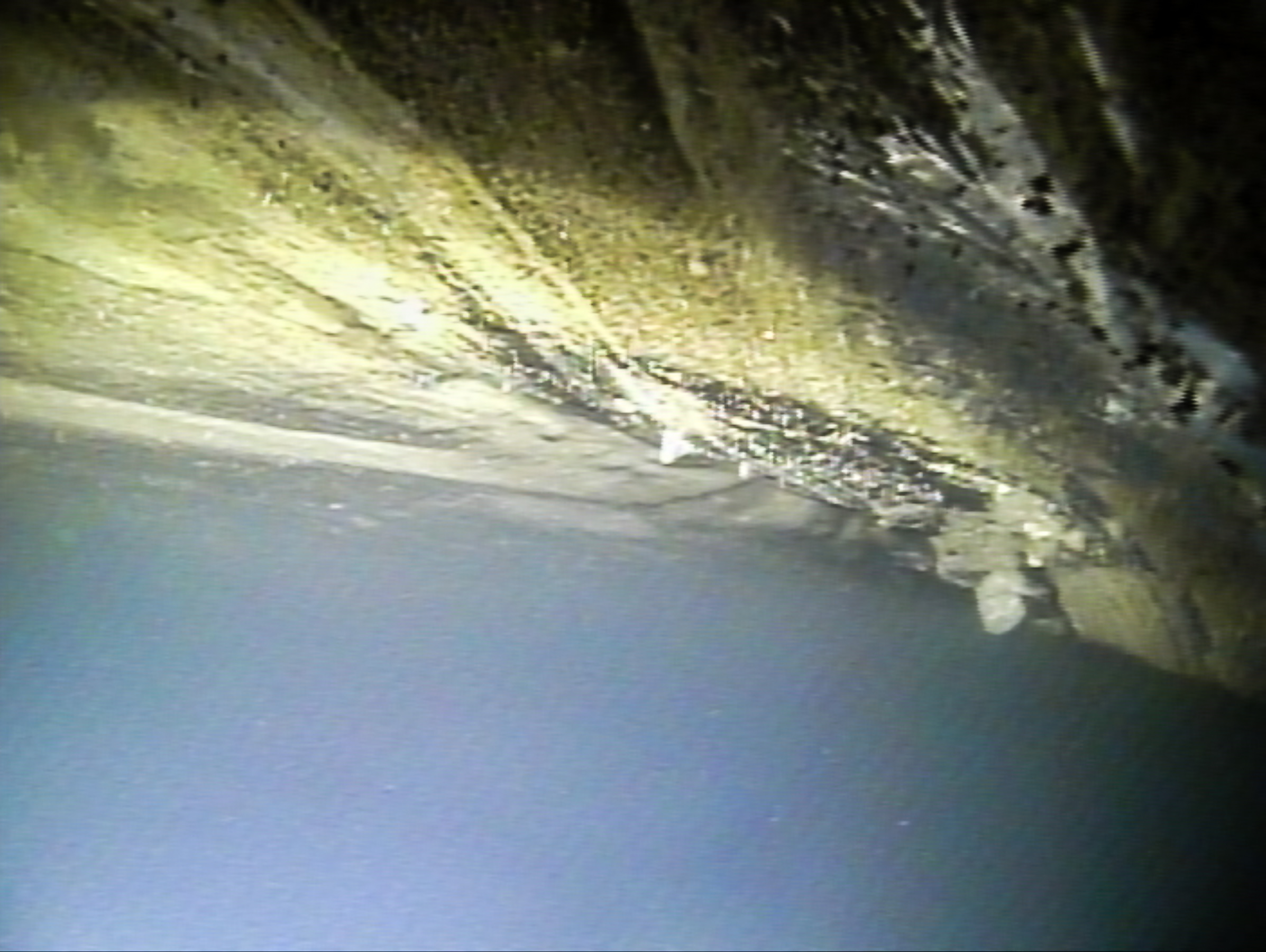 Icefin image of sediment laden ice at the grounding zone of Thwaites Glacier, Antarctica.