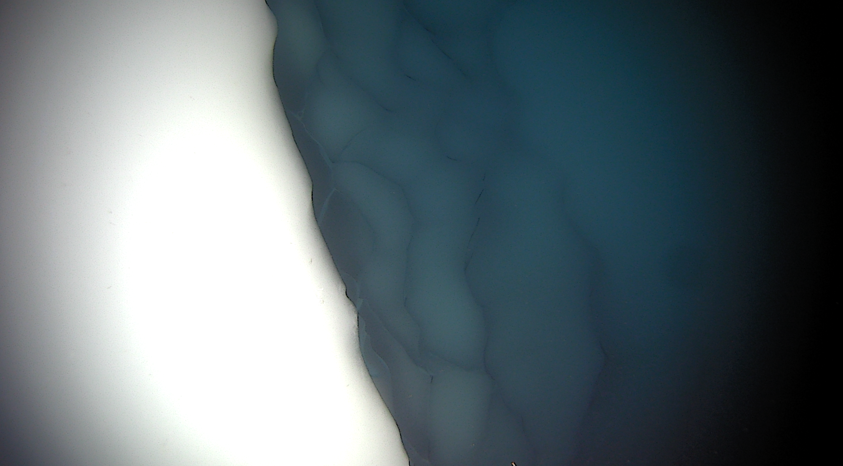 Photograph of a terrace on the underside of Thwaites Glacier in Antarctica, as taken by Icefin.