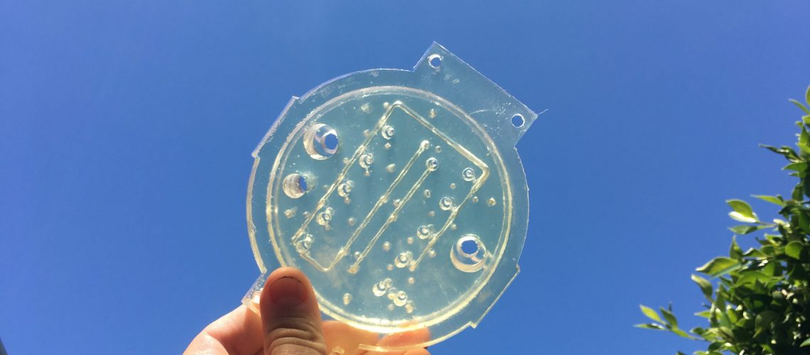 The manifold's internal channels are seen by holding it up to the sun.